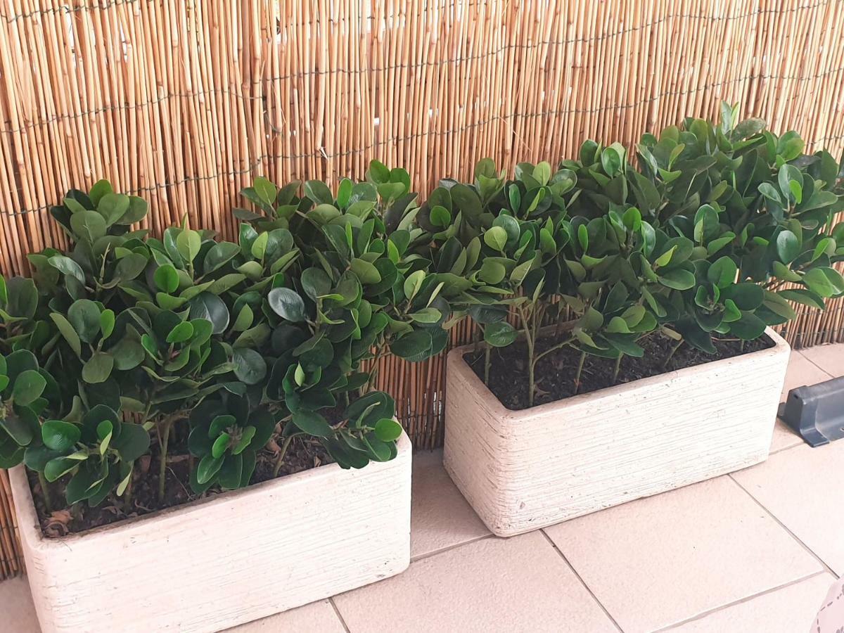 Dimora Montalto,Indipendente Con Terrazzo Privato Villa Syracuse Ngoại thất bức ảnh